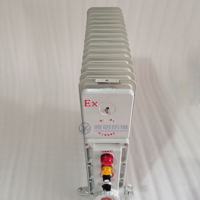 BDR-2KW11片ExdIIBT4防爆电暖气