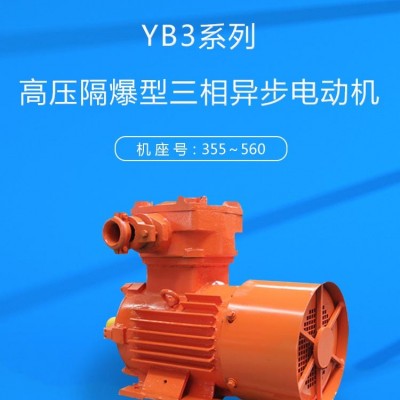 YB3系列高压隔爆型三相异步电动机