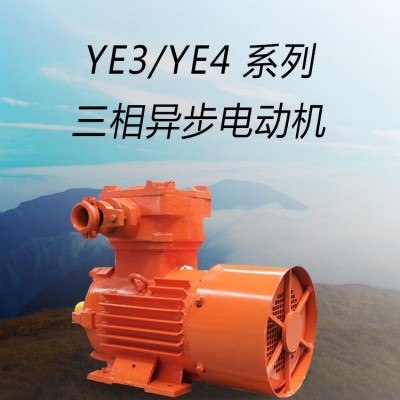 YE3/YE4 系列三相异步电动机