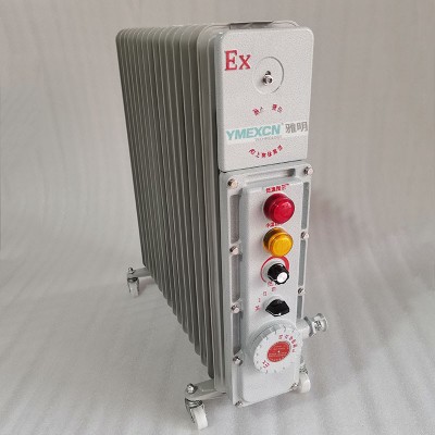 BYT-3000W220VG3/4取暖用防爆电热油汀
