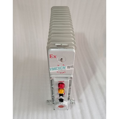 BDR-2500W13片exdⅱbt4防爆电暖气