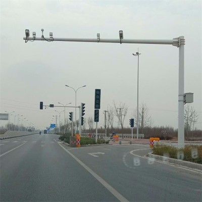 监控立杆厂家 天津监控杆4米小区监控杆 道路L型监控立杆