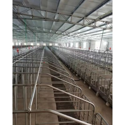 养殖场猪场母猪定位栏的安装方法和日常维护