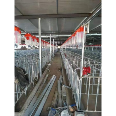 自动料线畜牧养殖场自动化喂料系统