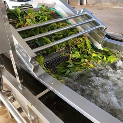 全自动蔬菜清洗机 大型洗菜机食材清洗设备